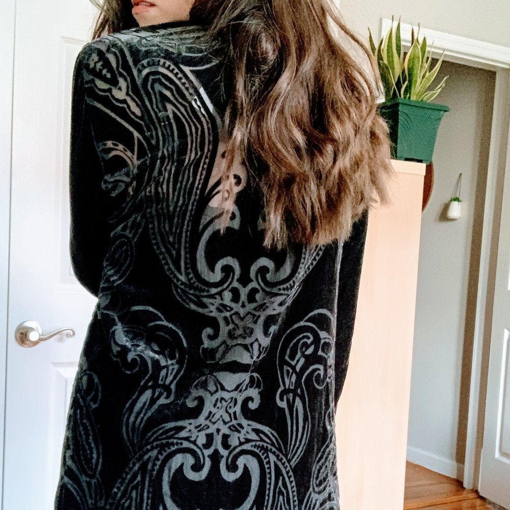 Zara Velvet burnout dress